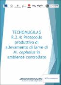 Immagine di anteprima