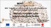 Immagine di anteprima