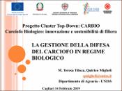 Immagine di anteprima