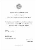Immagine di anteprima